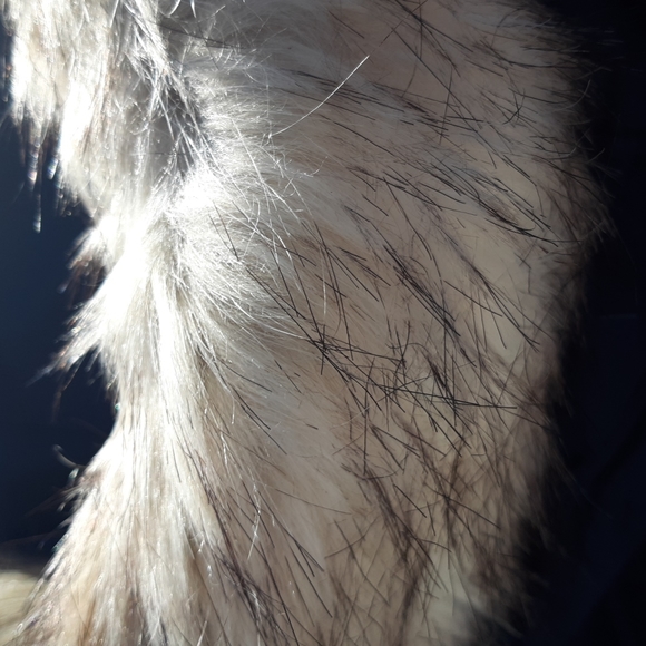 Nautica Faux Fur Trim Puffer Jacket in Navy Blue - Picture 9 of 15